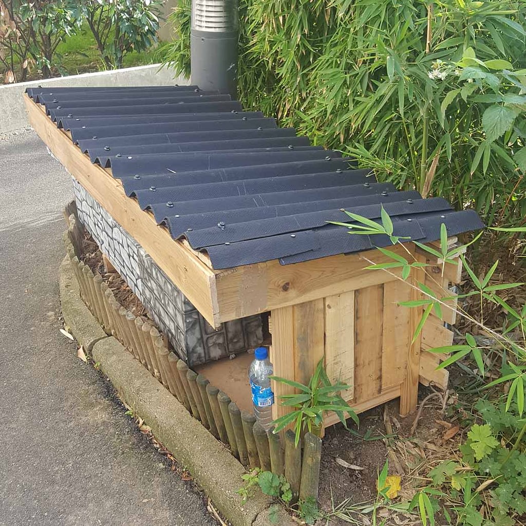 Une Nouvelle Maison Pour Le Chat Amicale Babylone