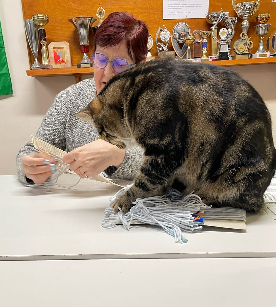 Le chat s’essaie au canevas…